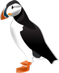 Puffin - head out to Staffa or Lunga to see these comical birds