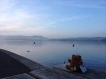 3130d5b1-c2e8-48cc-8870-cae693365e4e