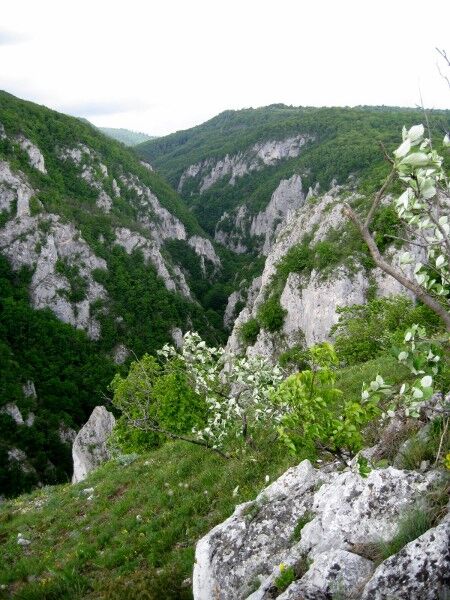 slovakia-slovensky-kras