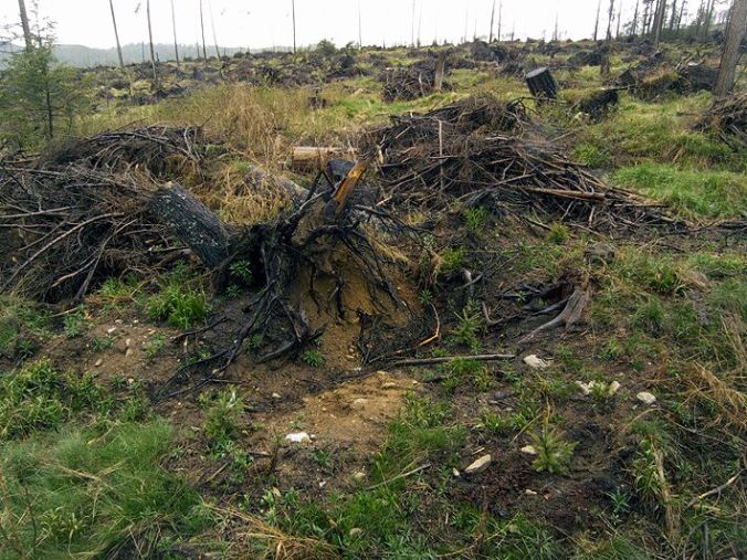 slovakia-windstorm-damage