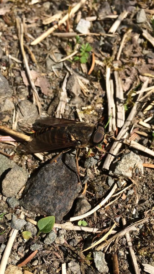 PHOTO-2018-07-04-14-02-31