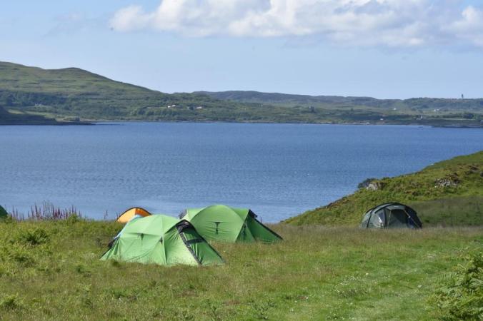 DSC_0011 compressde.JPG