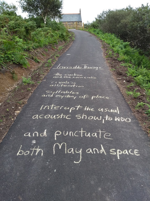 IMG_20190814_142653751